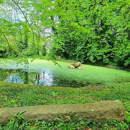 Bed and breakfast Manoir De Saint Ouen 3*